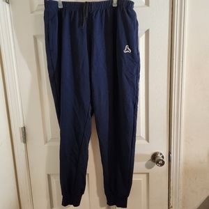 NWOT Silk World pants